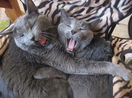 When ‘more’ can be less….