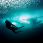 ACO’s ‘The Reef’