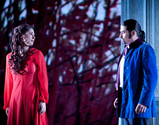 Eugene Onegin In Pictures