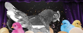 Concert Review: Hatched/Ensemble Offspring