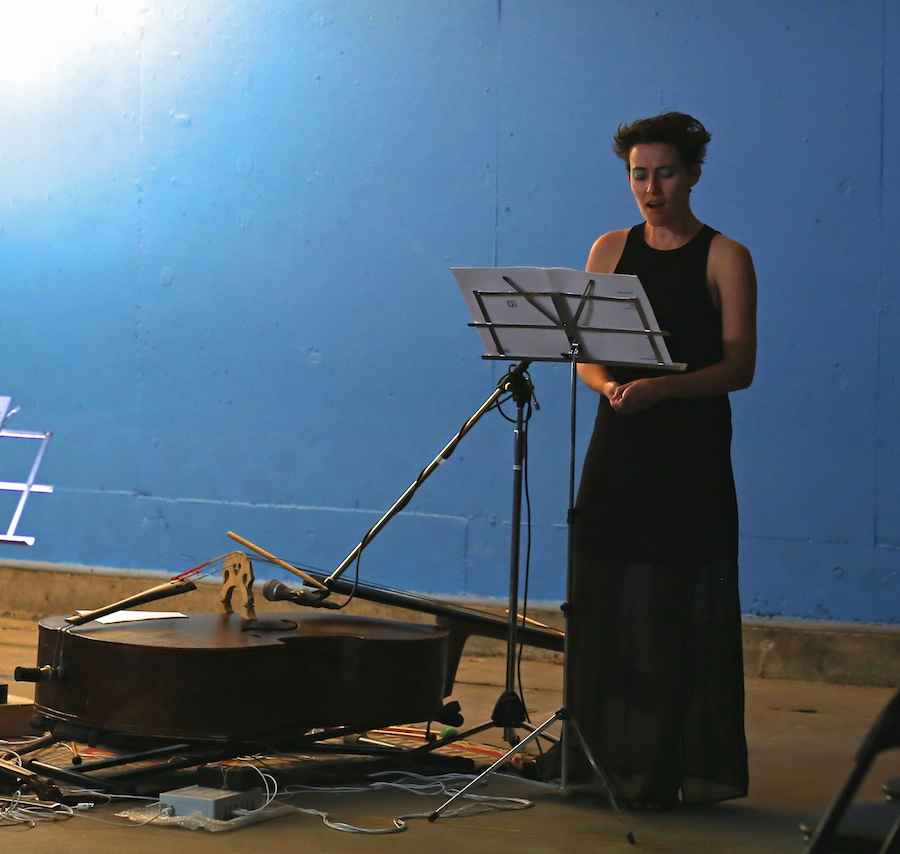 Jane Sheldon Presents Symbiosis III