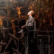 ‘Norma’ Look Book