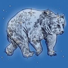 Isabella-Andronos-Bear-250-250