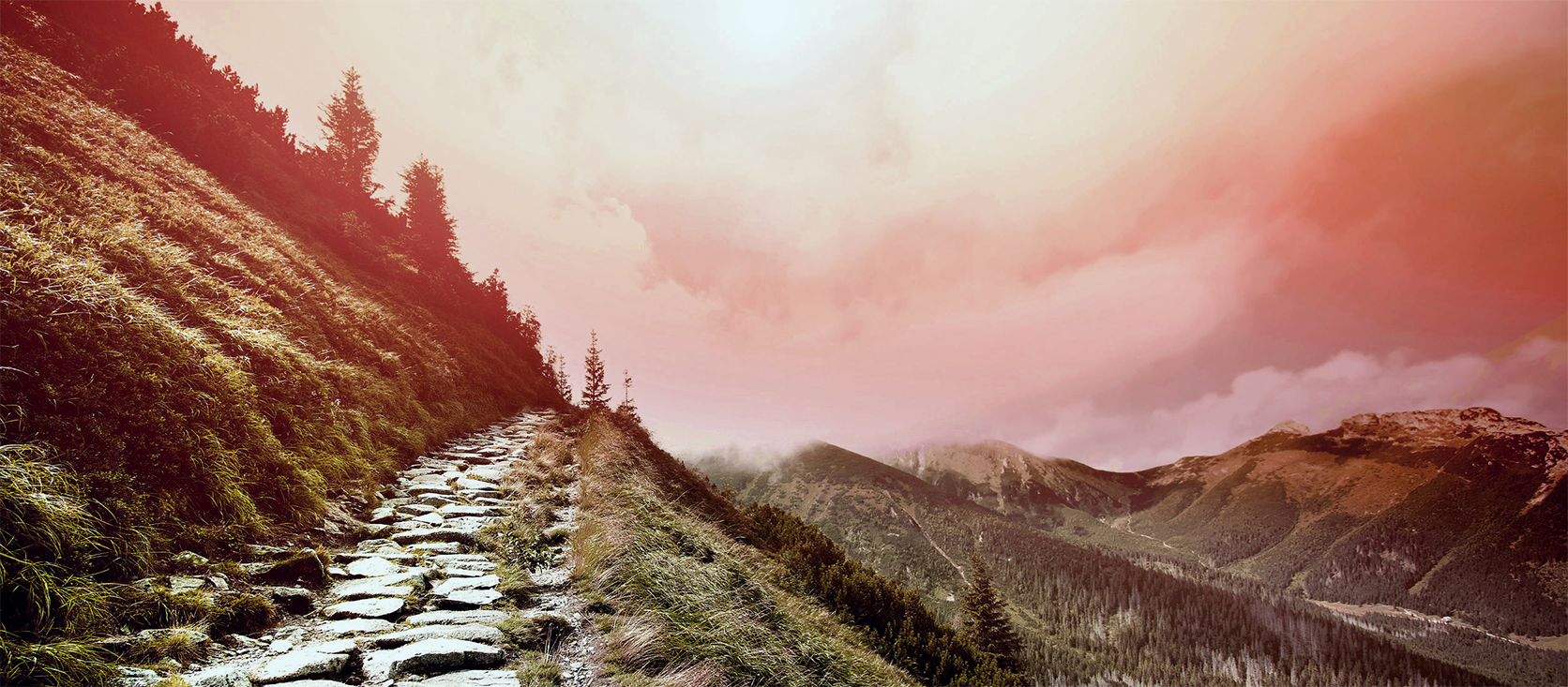 The Choir of St James’ Makes a Pilgrimage To The Field Of Stars