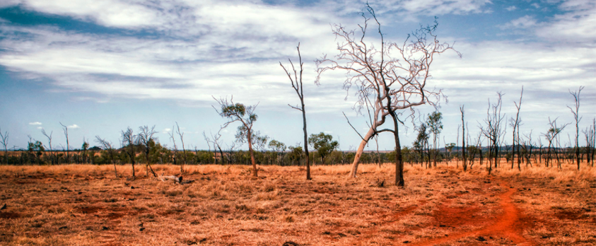 The Choir of St James’ Presents A Service Of Home-Grown Carols