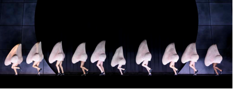 The Nose Opens In Sydney