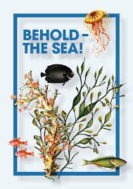 Concert Review: Behold – The Sea! / Sydney Chamber Choir