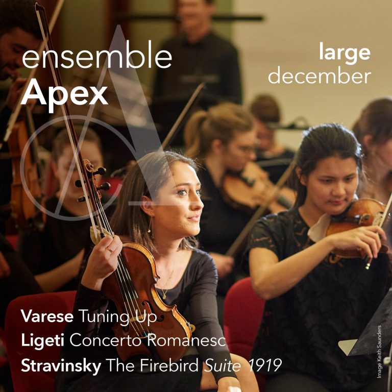 Ensemble Apex Looms L A R G E