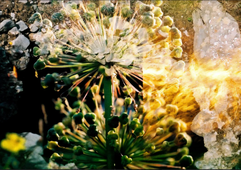 Ensemble Offspring: The Surge