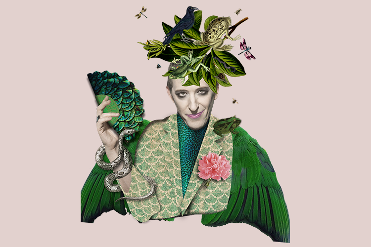 Pinchgut Opera’s Platée On Stage In December