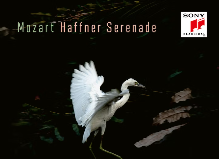 New Release From Sony Features Daniel Dodds