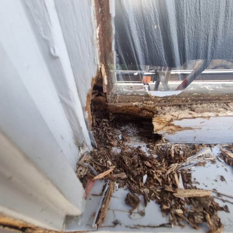 rotten timber window