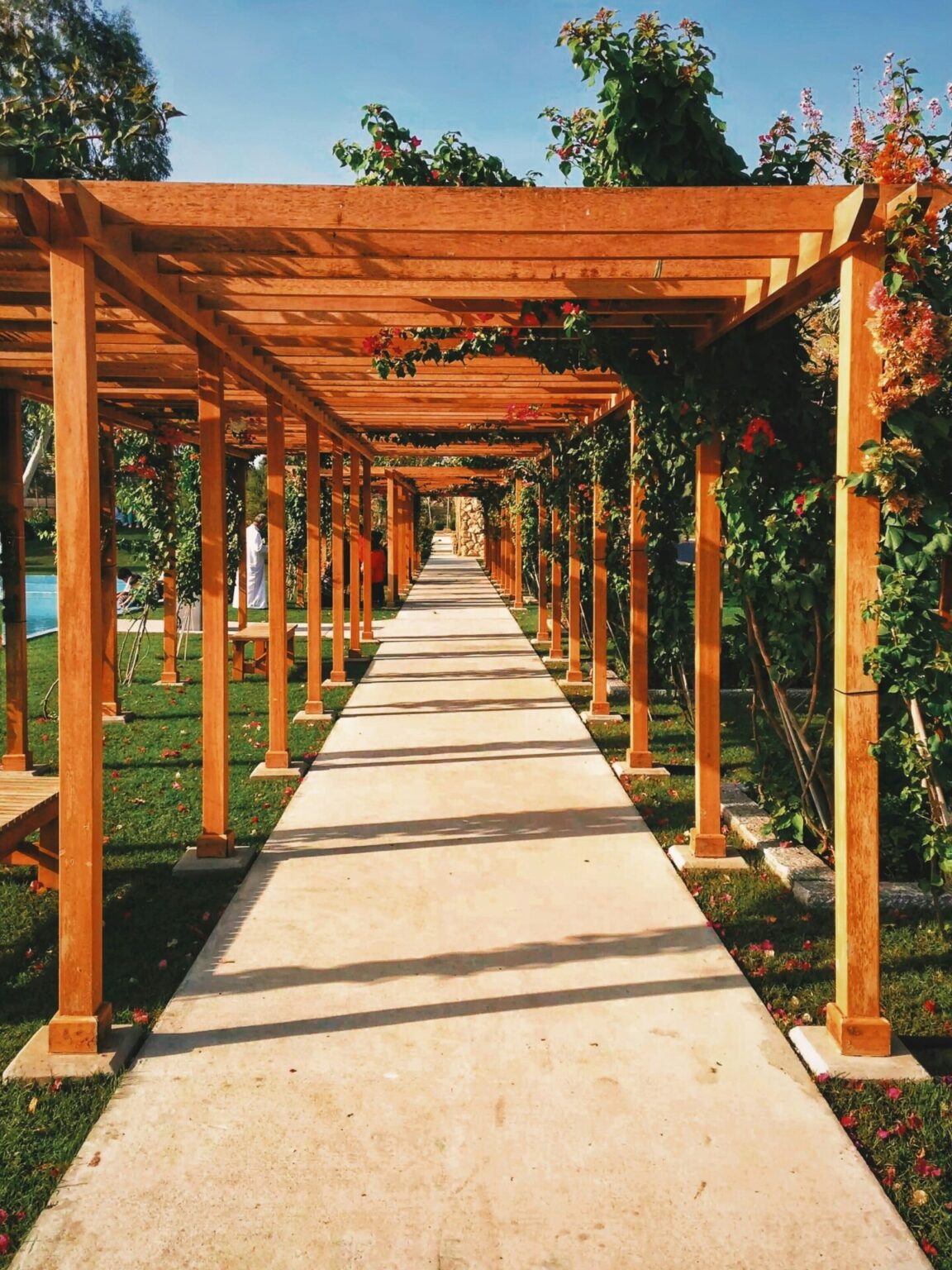 outdoor Pergola