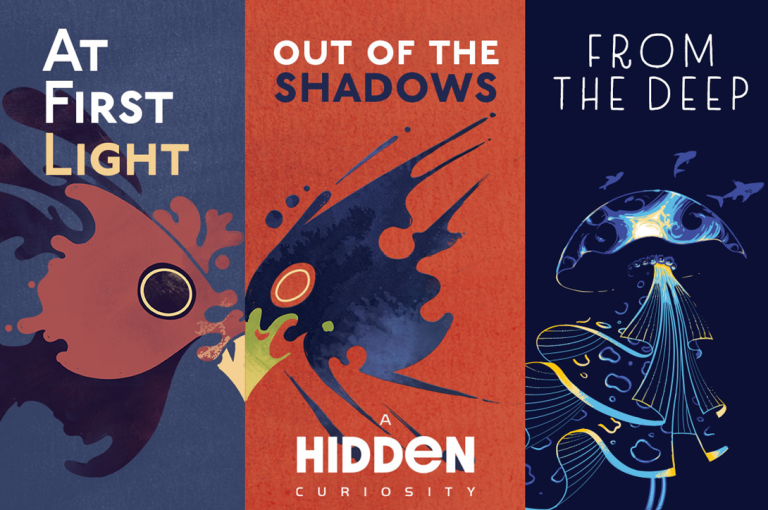 Kammerklang’s Hidden Curiosity